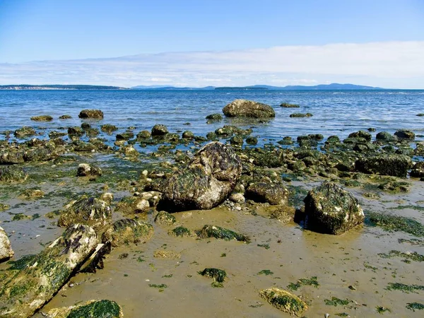 Rocky Shore Island View Beach Low Tide Vancouver Island Canada — 스톡 사진