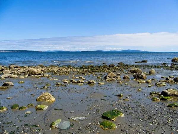 Orilla Rocosa Island View Beach Marea Baja Vancouver Island Canadá — Foto de Stock