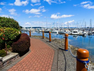 Sidney 'deki Vancouver Adası, Britanya Kolumbiyası, Kanada' da demirli yatlarla marina etrafında sakin bir yürüyüş.