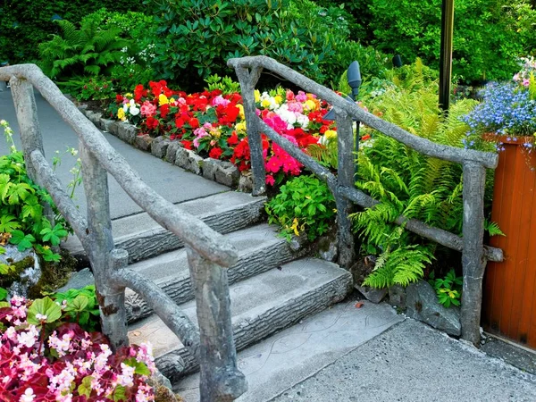 Jardín Verano Con Macizos Flores Pasarelas Exuberante Vegetación — Foto de Stock