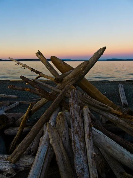 Ντρίφτγουντ Στο Νησί Βιου Μπιτς Βανκούβερ Ώρα Ηλιοβασιλέματος — Φωτογραφία Αρχείου