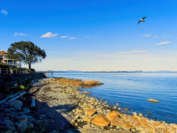 Espectacular Costa Sidney Vancouver Island Canadá — Foto de Stock