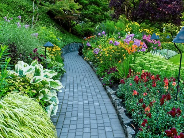 Pasarela Pavimentada Parque Verano Entre Exuberantes Macizos Flores — Foto de Stock