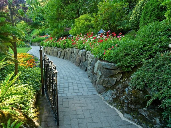 Paved Walkway Summer Park Lush Blooming Flower Beds — Stock Photo, Image