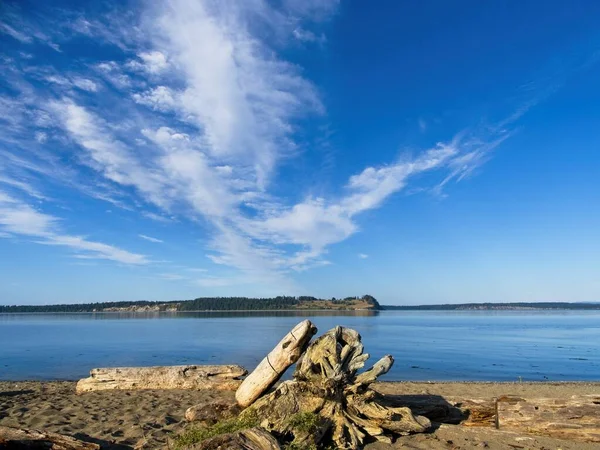 Big Sky Island View Beach Vancouver Island Legni Deriva Sparsi — Foto Stock