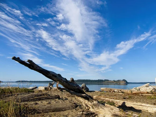 Grote Hemel Boven Island View Beach Vancouver Island Driftwood Verspreid — Stockfoto