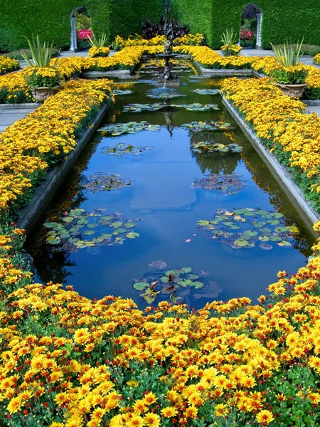 Étang Avec Fontaine Entourée Lit Fleurs Avec Des Fleurs Automne — Photo