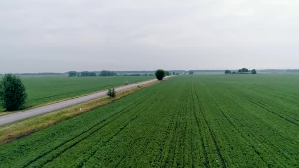 Вид с воздуха на поле — стоковое видео