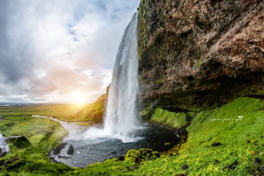 Seljalandsfoss Şelalesi Izlanda peyzaj