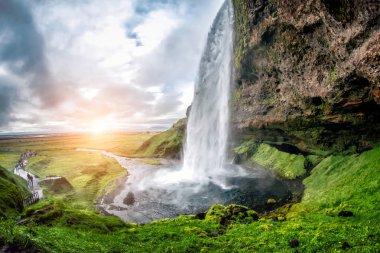 Seljalandsfoss Şelalesi Izlanda peyzaj