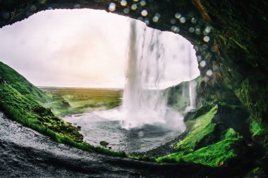 Seljalandsfoss Şelalesi Izlanda peyzaj