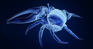 Deniz yengeç renkli 3D render, mavi arka plan