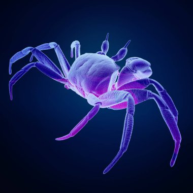 Deniz yengeç renkli 3D render, mavi arka plan