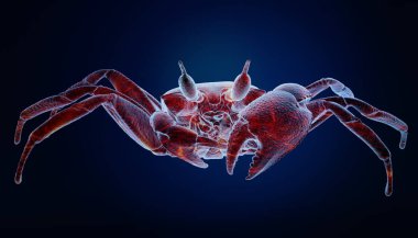 Deniz yengeç renkli 3D render, mavi arka plan