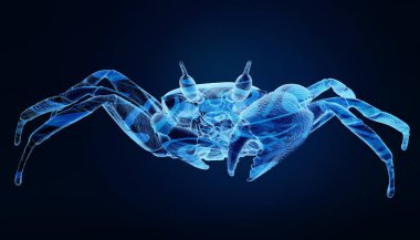 Deniz yengeç renkli 3D render, mavi arka plan