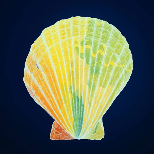 Kleurrijke Rendering Van Sea Shell Blauwe Achtergrond — Stockfoto