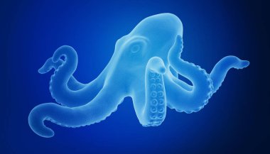 3d rendering of a cephalopod  clipart