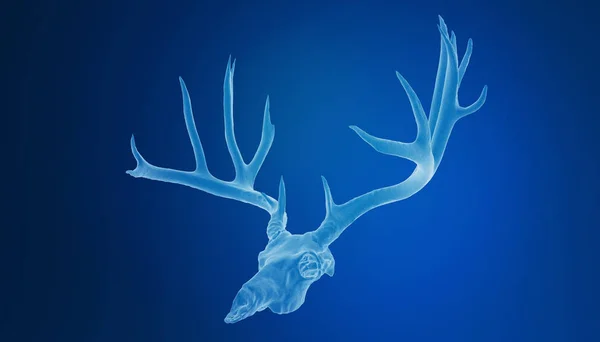 3D illustration of deer head skeleton