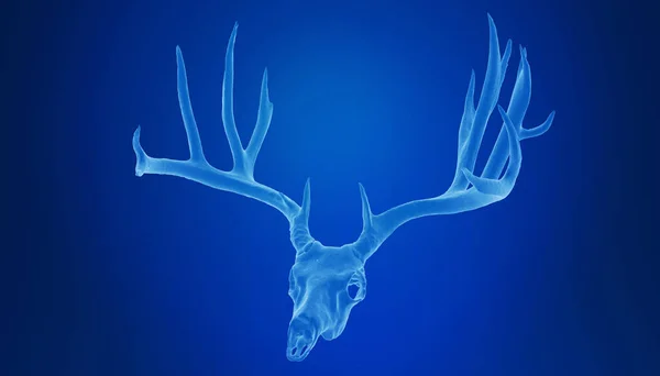 3D illustration of deer head skeleton