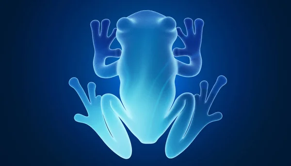 3d rendering of a frog, blue background