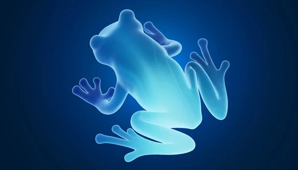 3d rendering of a frog, blue background