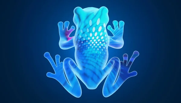 3d rendering of a frog, blue background