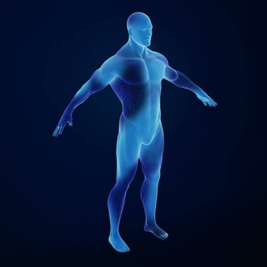 Kaslar ile insan vücudunun 3d render, renkli illüstrasyon