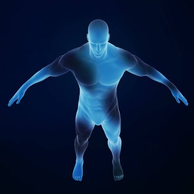 Kaslar ile insan vücudunun 3d render, renkli illüstrasyon