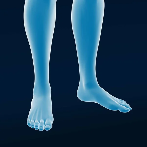 Απόδοση Των Γυναικών Ποδιών Μπλε Φόντο — Φωτογραφία Αρχείου
