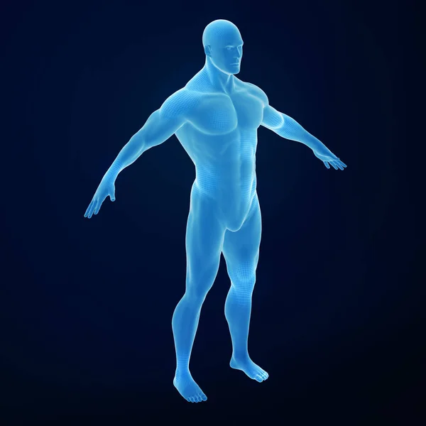 Representación Del Cuerpo Humano Con Músculos Ilustración Colorida — Foto de Stock