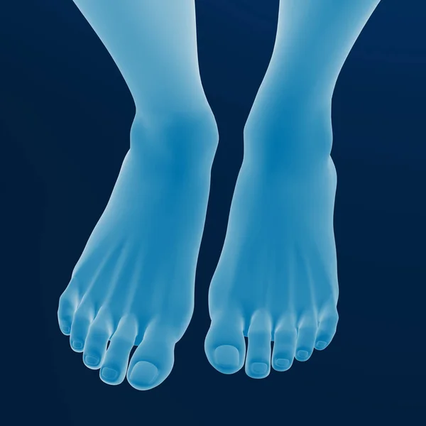 Rendering Piedi Femminili Sfondo Blu — Foto Stock