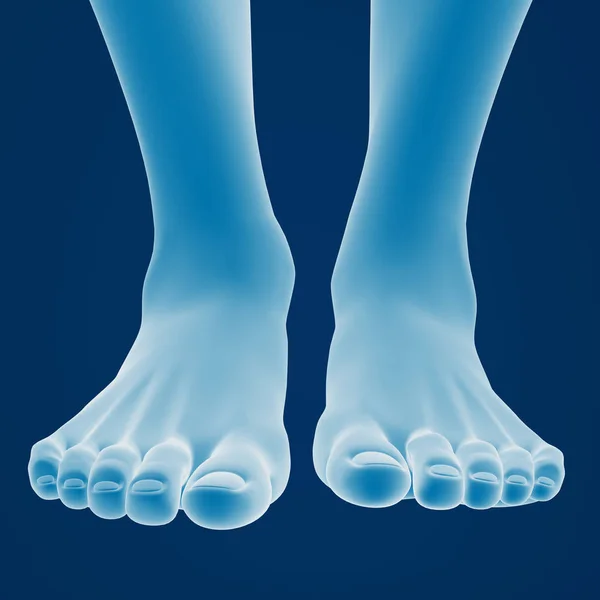 Darstellung Weiblicher Füße Blauer Hintergrund — Stockfoto