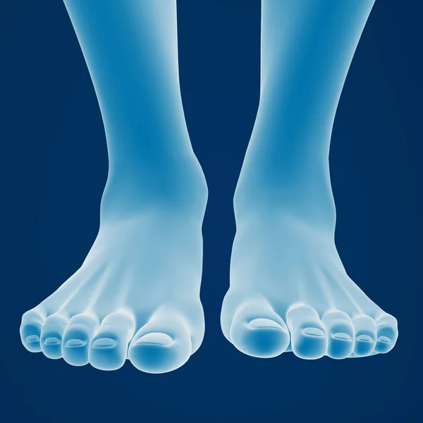 Rendering Piedi Femminili Sfondo Blu — Foto Stock