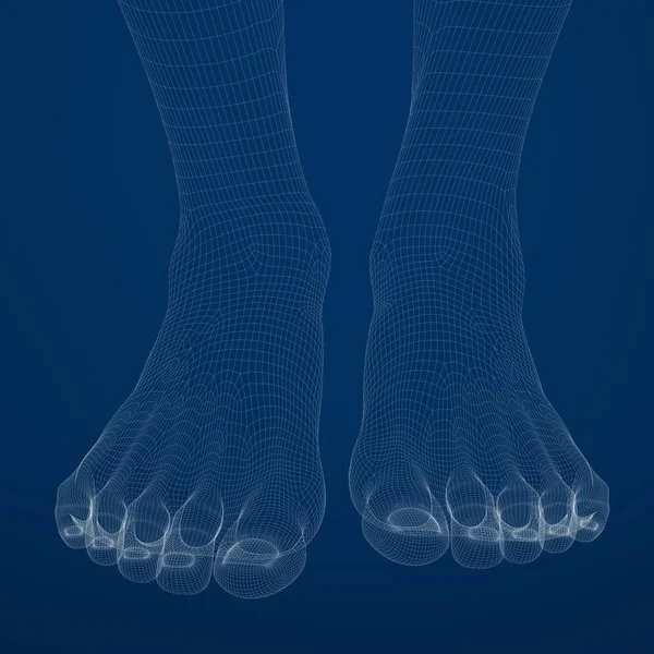 Rendering Piedi Femminili Sfondo Blu — Foto Stock