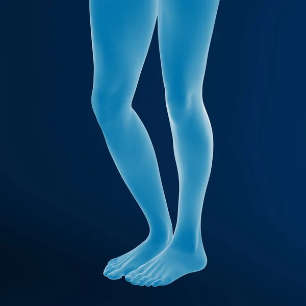 Rendering Female Feet Blue Background — Stock Photo, Image