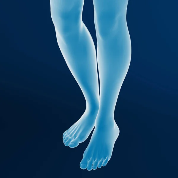 Rendu Des Pieds Féminins Fond Bleu — Photo