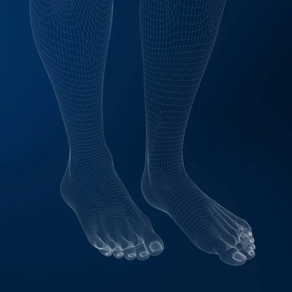 Kadın Ayakları Mavi Arka Plan Render — Stok fotoğraf
