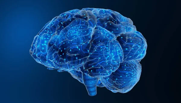 Πολύχρωμο Απόδοση Του Ανθρώπινου Εγκεφάλου — Φωτογραφία Αρχείου