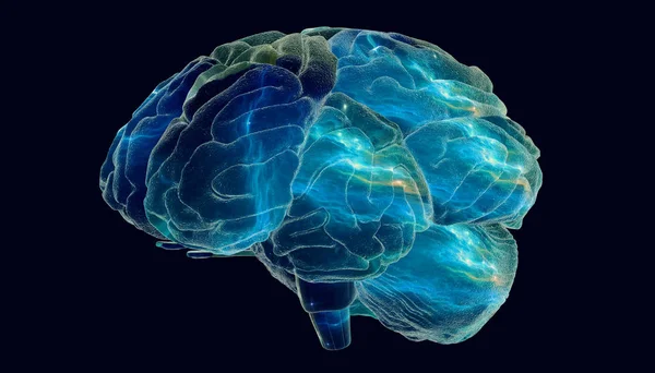 Colorful Rendering Human Brain — Stock Photo, Image