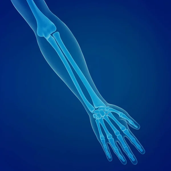 Renderização Varredura Uma Mão Humana — Fotografia de Stock
