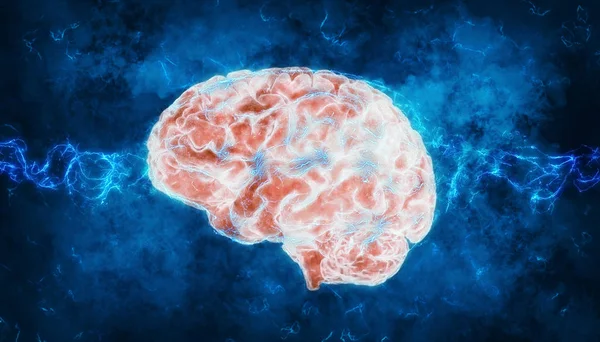 Colorful 3d rendering of human brain