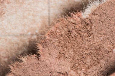 Renkli grunge duvar deseni yakın plan, soyut arkaplan