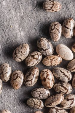 Karanlık stüdyo arkaplanındaki fasulye desenine yakın çekim