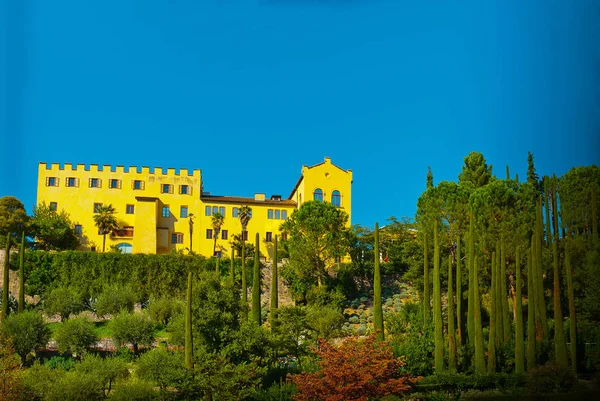 Piante Verdi Assortite Nel Giardino Moderno Sotto Cielo Blu Sfondo — Foto Stock