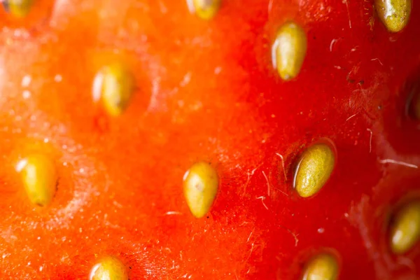 Closeup Red Fresh Strawberry — 图库照片