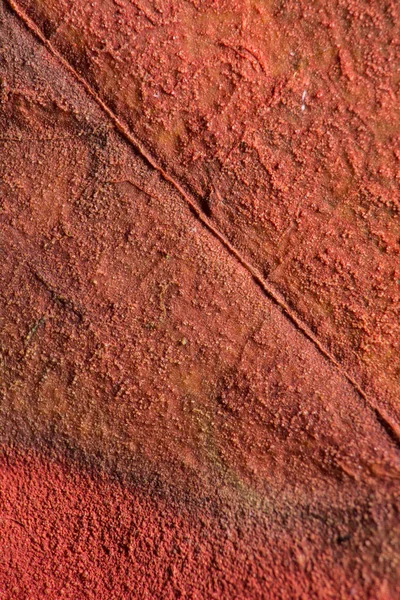 Primer Plano Del Patrón Pared Grunge Color Fondo Abstracto — Foto de Stock