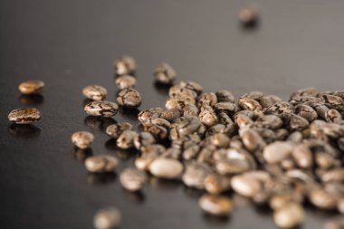 Karanlık stüdyo arkaplanındaki fasulye desenine yakın çekim