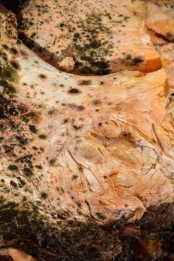 Renkli kumaş desenine yakın plan, soyut arkaplan 