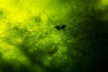 Renkli kumaş desenine yakın plan, soyut arkaplan 