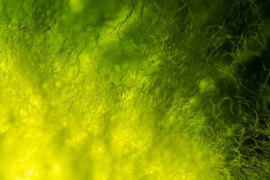 Renkli kumaş desenine yakın plan, soyut arkaplan 